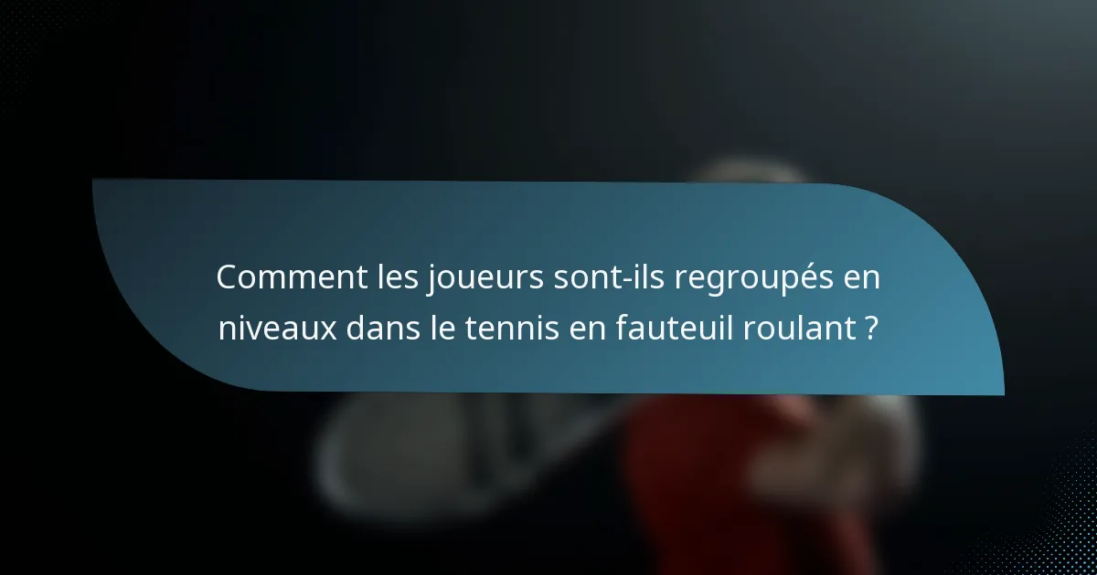 Comment les joueurs sont-ils regroupés en niveaux dans le tennis en fauteuil roulant ?